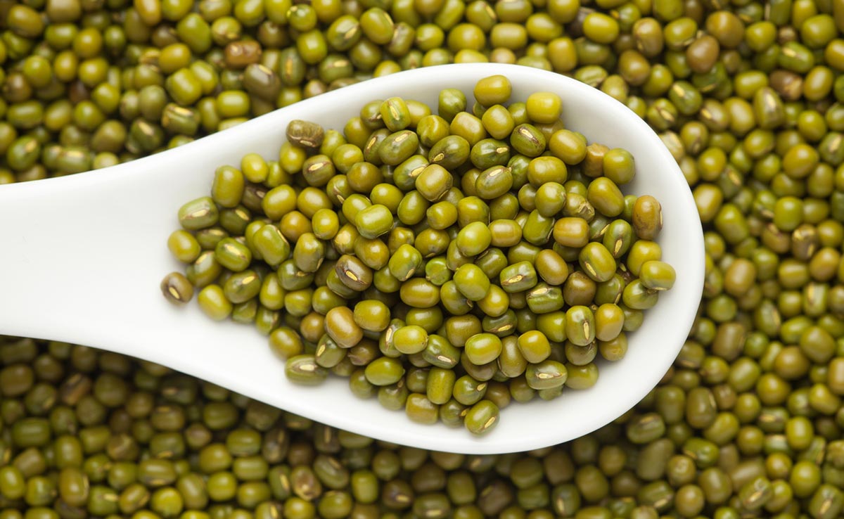 Chakkiwalle Popular Green Moong Whole, |Rich in Protein | No Cholesterol | No Additives