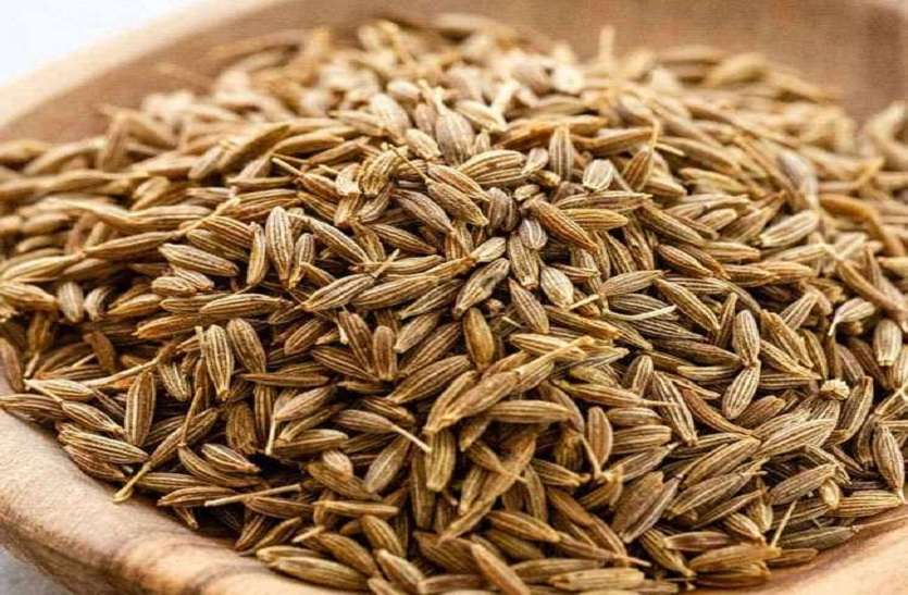 Chakkiwalle Fresh and Natural Cumin Seeds | Indian Spice Masala 100% Vegan, Gluten Free and NO Additives | Fresh, Clean, and sorted