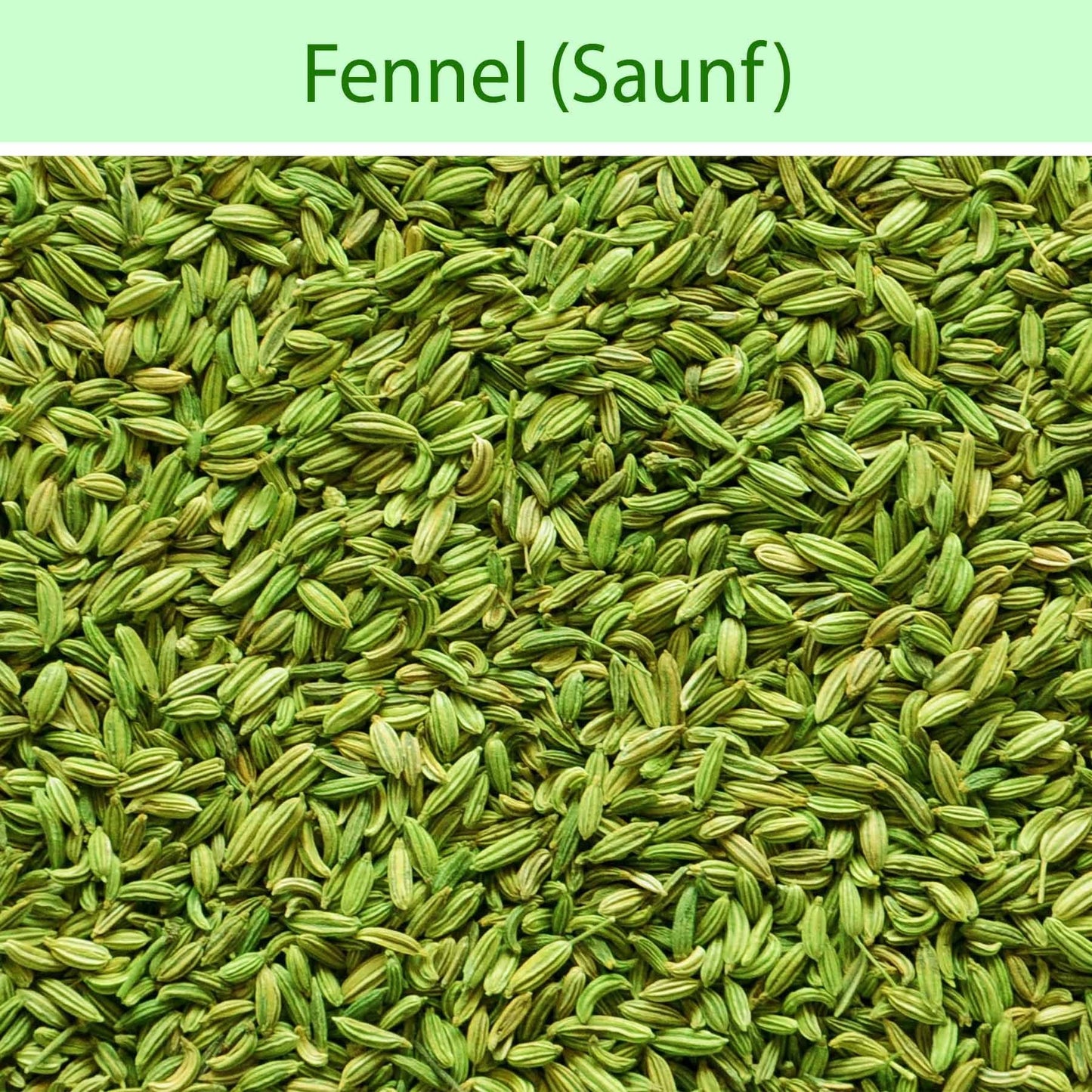 Chakkiwalle Organic Fennel Seeds Saunf/Sauf - Whole, Natural, Fresh & Pure Indian