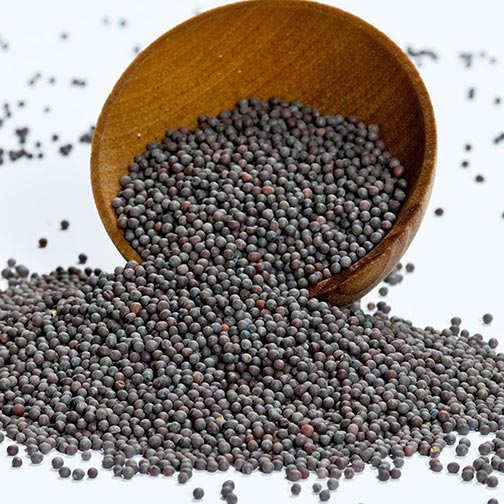 Chakkiwalle Whole Black Sarson Mustard Seeds | Natural, Chemical-Free, and Pesticide-Free