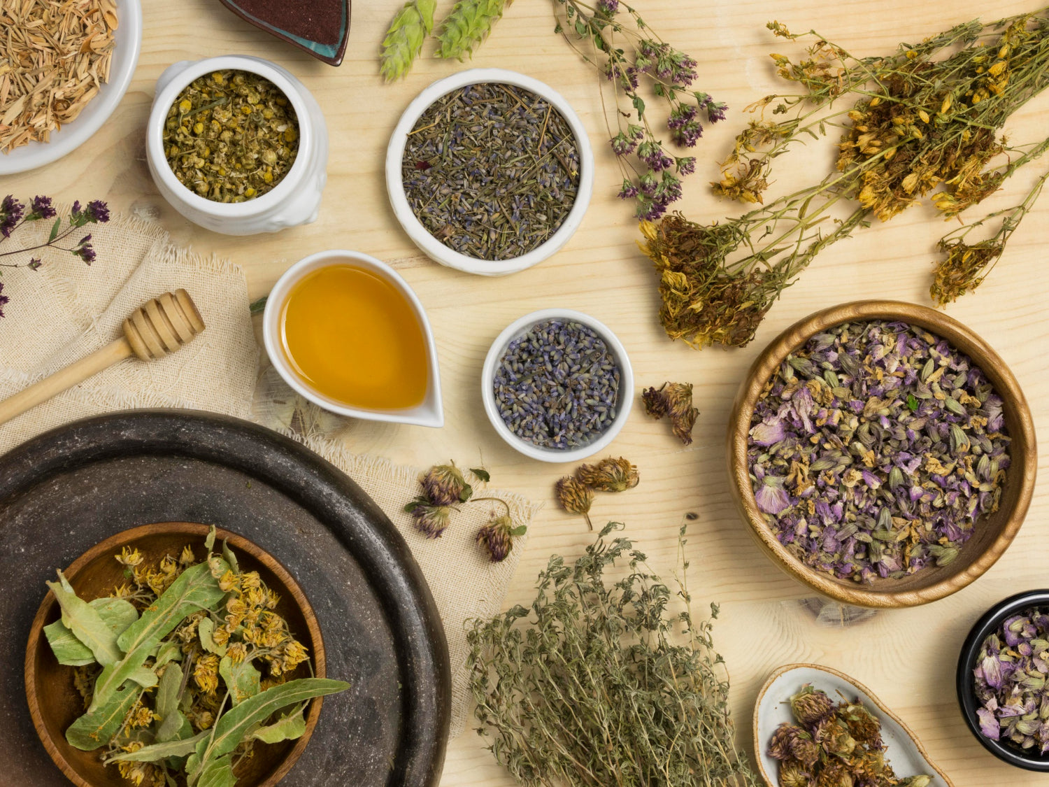 Ayurvedic Herbs: Discover the Ancient Wisdom